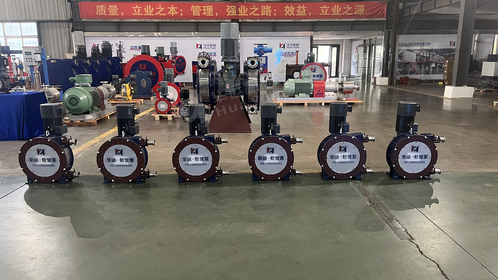 华运软管泵助力金针菇高效洁净输送